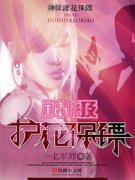 �񼶻�������С˵