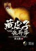 ��Ƥ�ӹ�����С˵