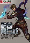 �����ʯ�������Ķ�txt����