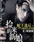 ����ѡ�󣺼���������(���+���⣩С˵