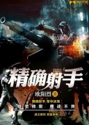 ��ȷ����С˵