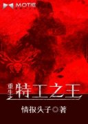 ����֮�ع�֮��С˵