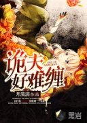 �����Ѳ�С˵