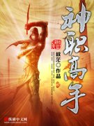 ��ְ����С˵