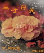 �����չ������Ķ�txt����