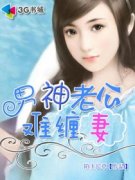 �����Ϲ��Ѳ���С˵