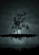 �������������Ķ�txt����