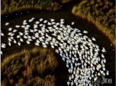 ����������С˵