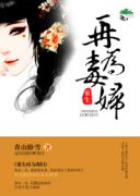 ������Ϊ����С˵