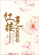 ��¥֮�ٻ�����С˵