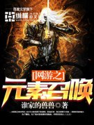 ����֮Ԫ���ٻ�С˵