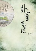 ����������С˵