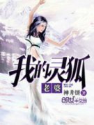 �ҵ��������С˵