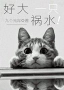 �ô�һֻ��ˮС˵