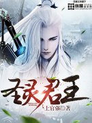 ʥ�����С˵