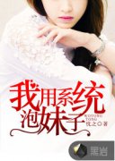 ����ϵͳ������С˵