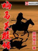 ����Ӣ�۴�С˵