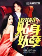 У������������С˵