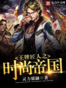 ���ƽ���֮ʱ�е۹�С˵