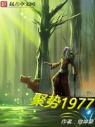 ����1977С˵