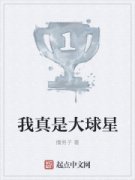 �����Ǵ�����С˵