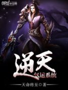 ��������ϵͳС˵