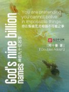 ��ľ�ʮ������С˵