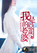 �ҵ��������ܲ�С˵