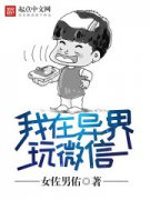 ���������΢��С˵