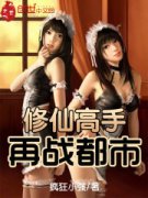 ���ɸ�����ս����