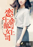 ���Ͻ���Ů��˾С˵