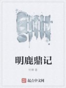 ��¹����С˵