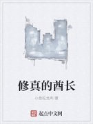 ���������С˵