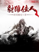 ���Ǽ���С˵