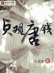 �����ǮС˵