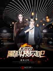 ϵͳ�ĺڿƼ�����С˵