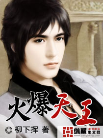 ������С˵