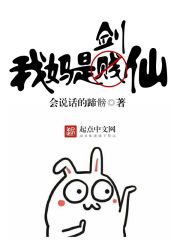 �����ǽ���С˵