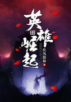 Ӣ������С˵