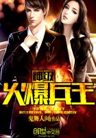 �񼶻𱬱��������Ķ�txt����