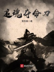 ׷�������С˵