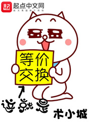 ����ǵȼ۽���С˵