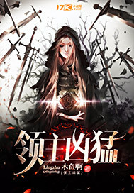 ��������С˵