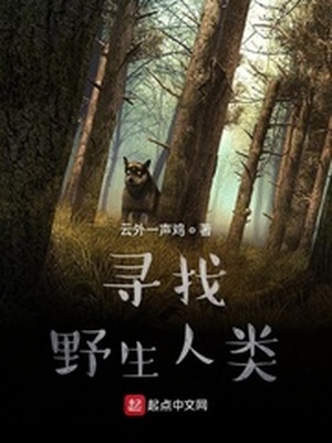 Ѱ��Ұ������С˵