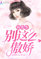 Ӧ��������ô����С˵