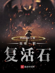 ����һ�Ÿ���ʯС˵