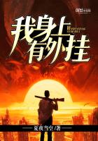 �����������С˵