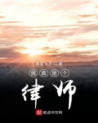 �����Ǹ���ʦС˵