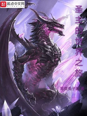 ʥ��������֮��С˵