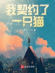 ����Լ��һֻè�����Ķ�txt����